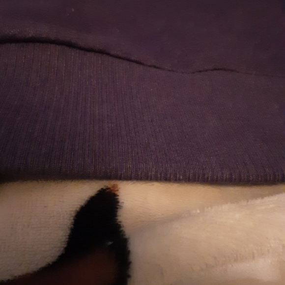 Old Navy Sherpa Lined Zip Front Hoodie Purple Sequin Woman's XL - Picture 8 of 9